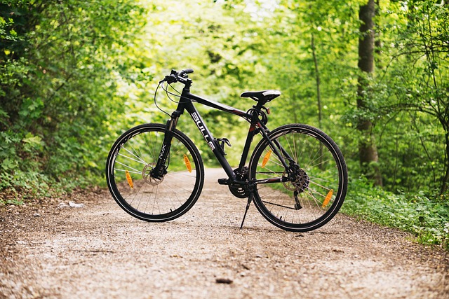 A black bicycle standing on a dirt path in a forest