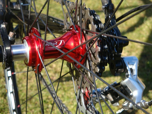 Comparing bike categories: Frame features, tire clearance, and gearing