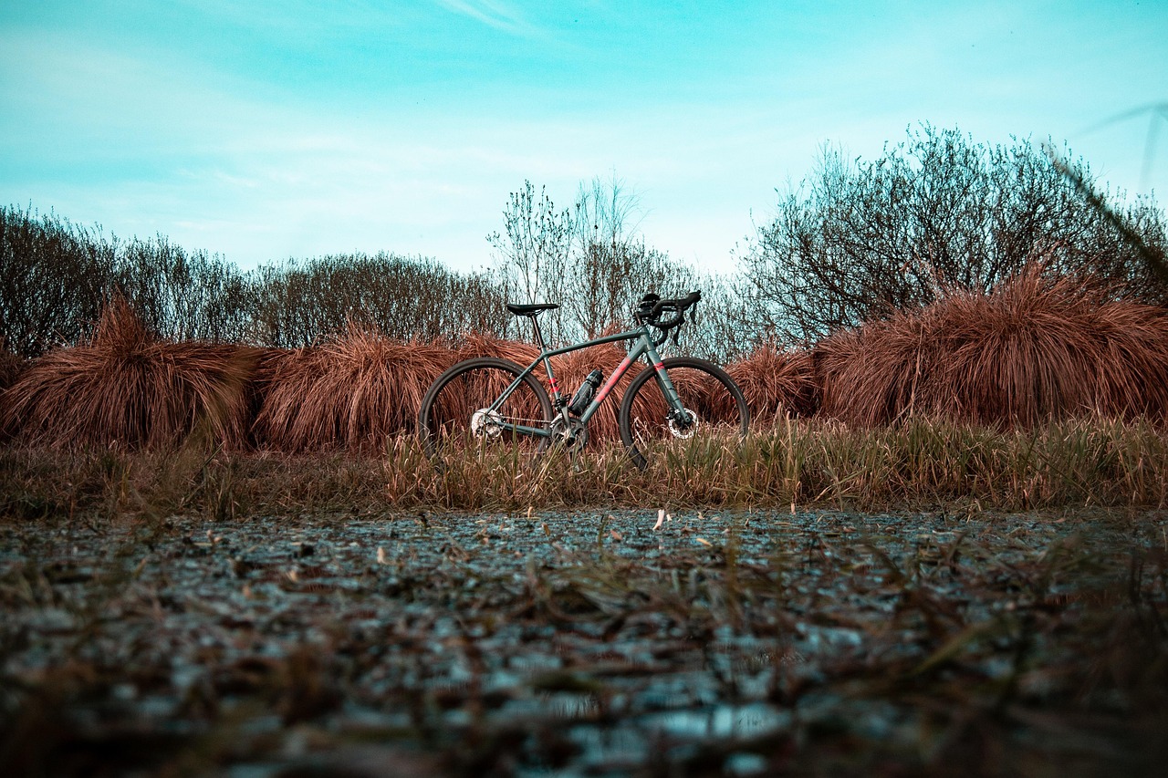gravel vs road bike