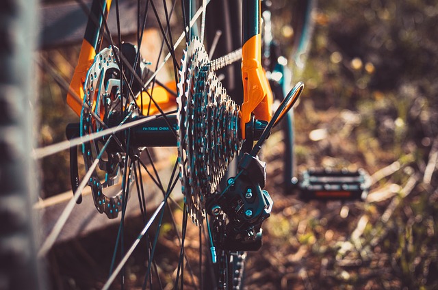 How should you prepare your bike before removing the wheel?