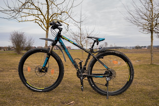A mountain bike with mudguards parked outdoors on grass