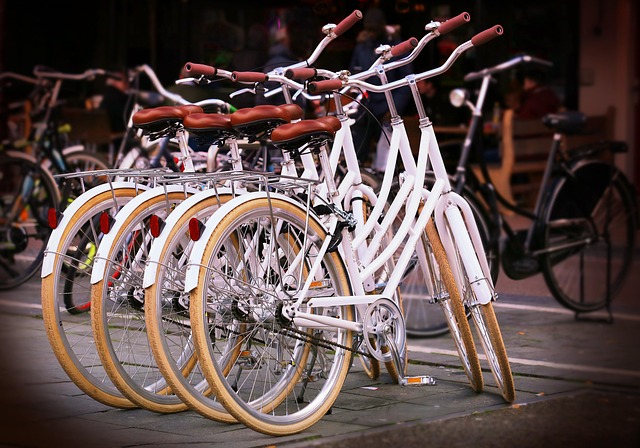 A row of white bicycles parked outdoors on a street