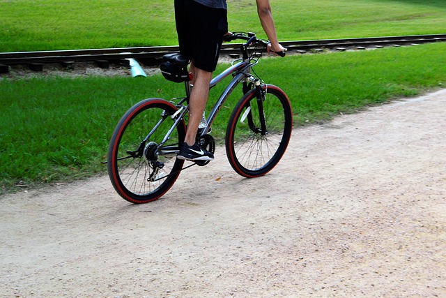 Trek Checkpoint ALR 4