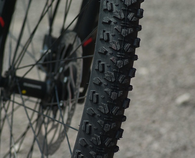 What frame and fork details matter most?