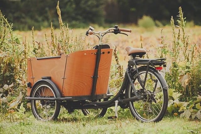 A wooden cargo bicycle parked in a grassy field