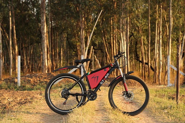 An electric bicycle parked on a dirt path near trees