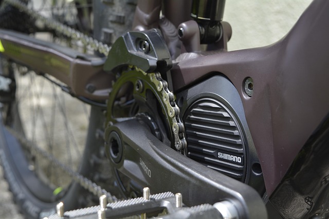 A close-up of a Shimano mid-drive e-bike motor