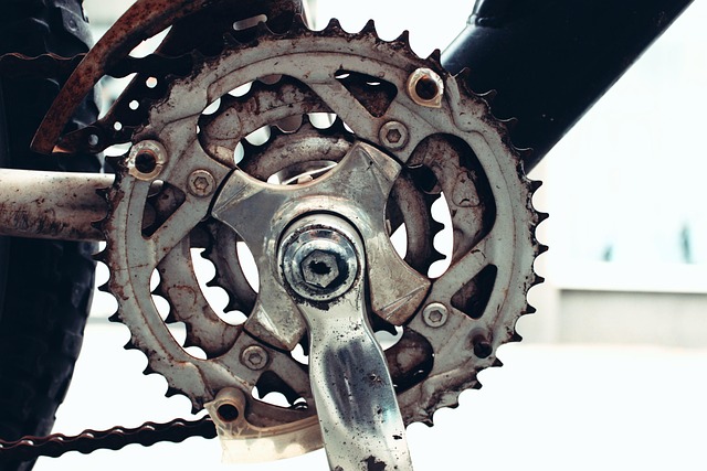 Close-up view of a bicycle crankset and front chainrings